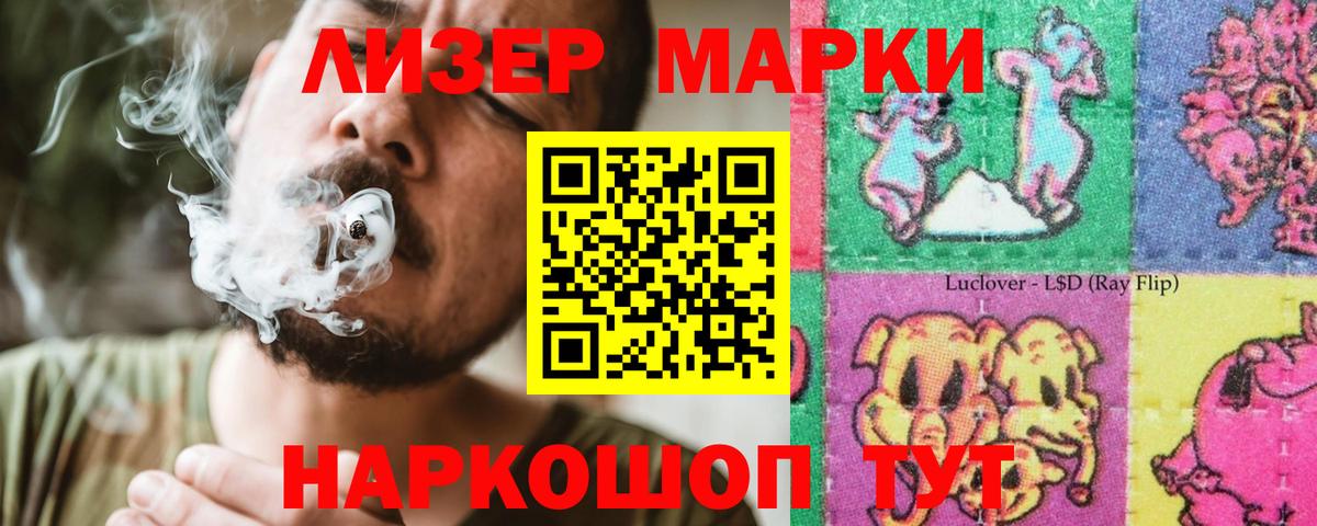ОМГ ОМГ ссылка  Вход с VPN  Лсд 25 экстази ecstasy  Новозыбков  ЛСД экстази ecstasy 
