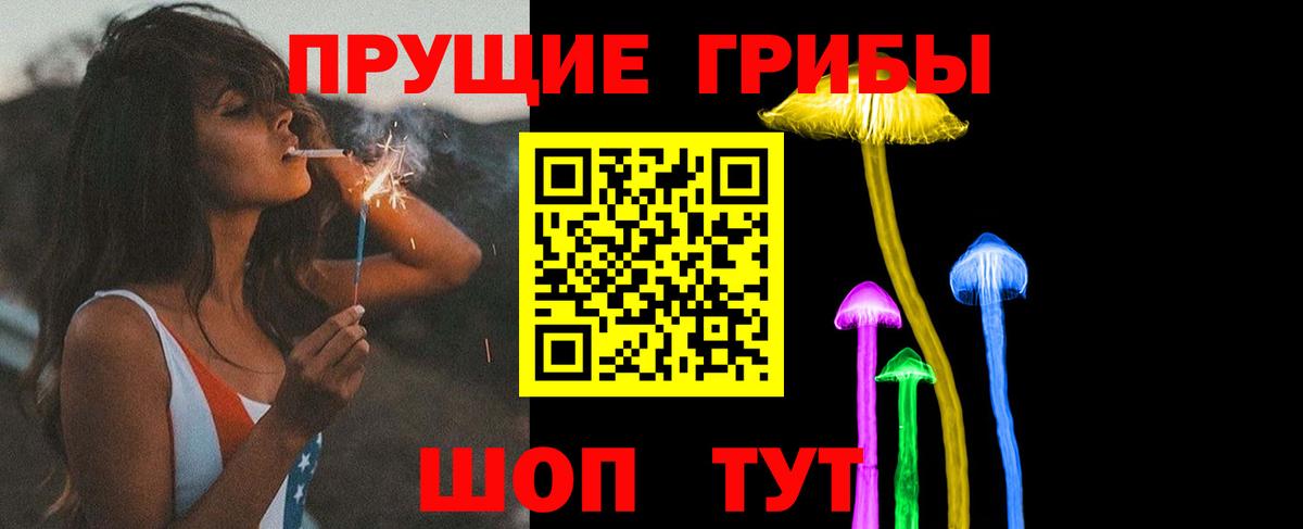Псилоцибиновые грибы мицелий Новозыбков